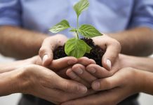Développer votre culture entrepreneuriale