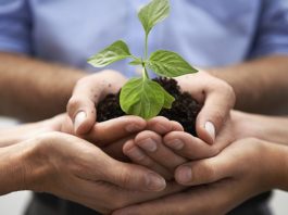 Développer votre culture entrepreneuriale