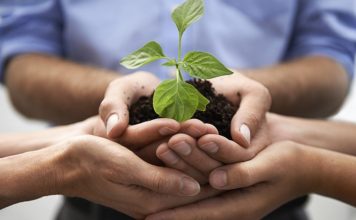 Développer votre culture entrepreneuriale
