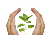 Incubateur comme accompagnateur par excellence